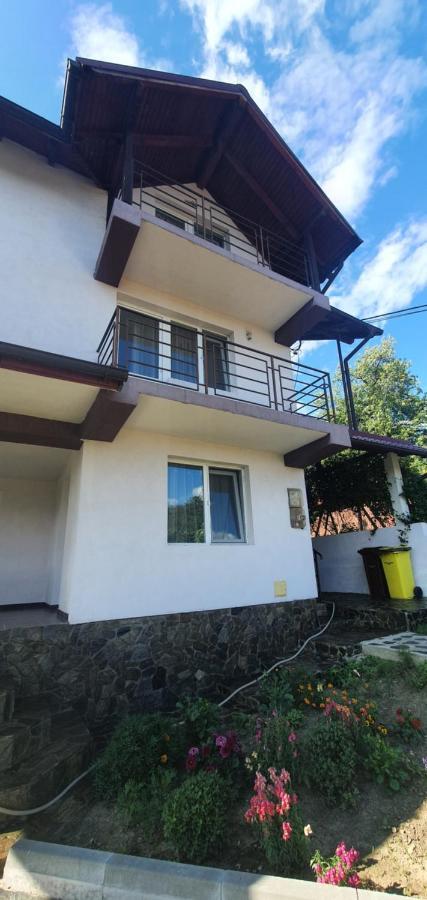 Casa Silvia Hotel Capatineni-Ungureni Ngoại thất bức ảnh